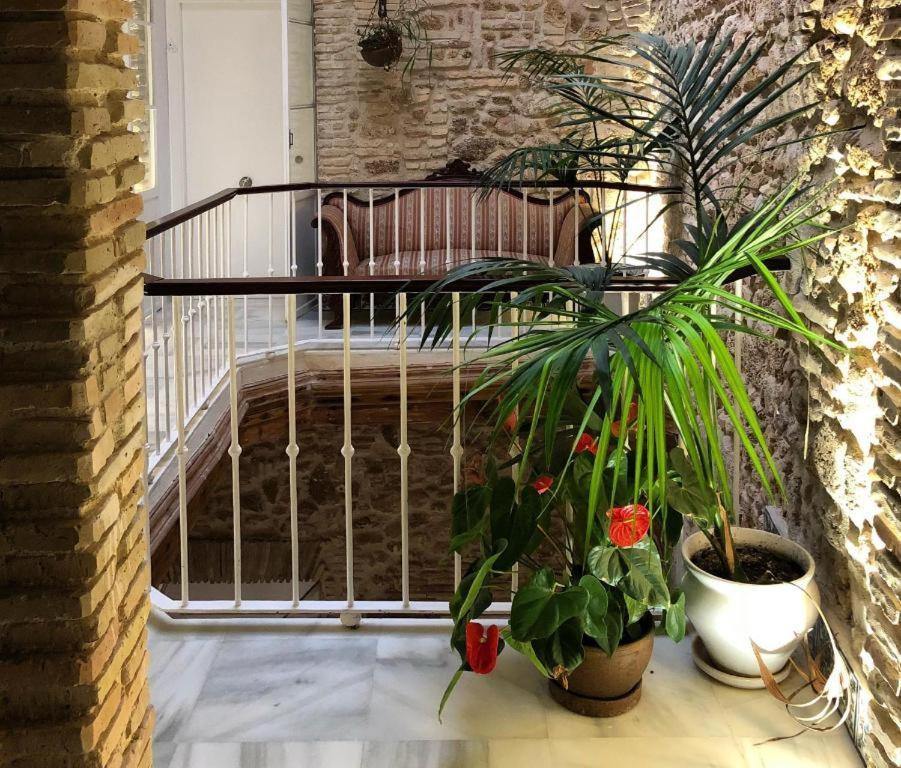 Apartamentos Rosario Centro Кадис Екстериор снимка
